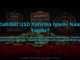 Dahibet-USD-Yatirma-Islemi-Nasil-Yapilir-overlay-1784477491.jpg