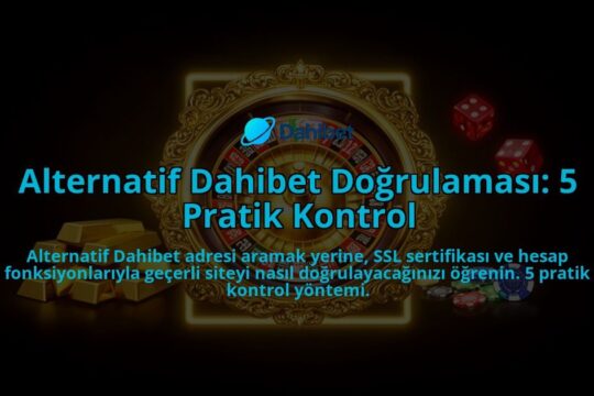 Alternatif-Dahibet-Dogrulamasi-5-Pratik-Kontrol-overlay-1786522654.jpg